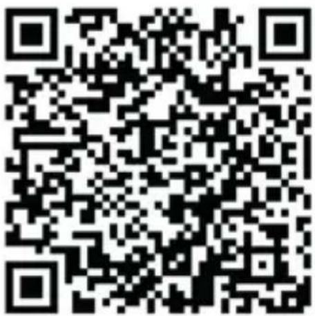 Detomaso Spacy Timeline Modell 1 - DETOMASO - 1