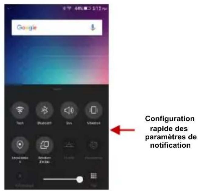 BLU Vivo 5R - Zone de notification - 3