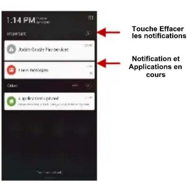 BLU Vivo 5R - Zone de notification - 2