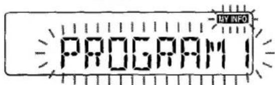 AIWA CTFX729M - Setting the timer - 3