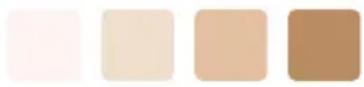 BEURER Salon Expert LAS 100 - SKIN TONE CHART - 1