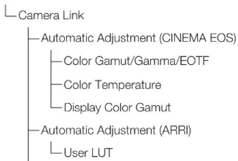 CANON DPV2411 - Function Settings (79) - 2