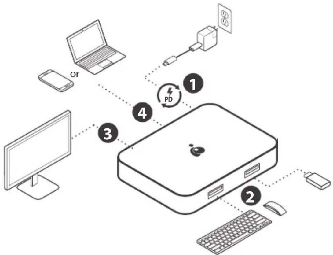 IOGEAR GUC3CDHD - Android/Windows/Mac Installation - 1