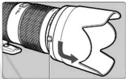 CANON EF 70200mm f4L IS II USM - Parasoleil - 2