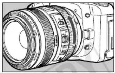 CANON EF 70300mm f4.55.6 DO IS USM - Fixation de la bague de zoom - 2