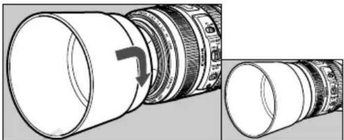 CANON EF 70300mm f4.55.6 DO IS USM - Parasoleil - 1