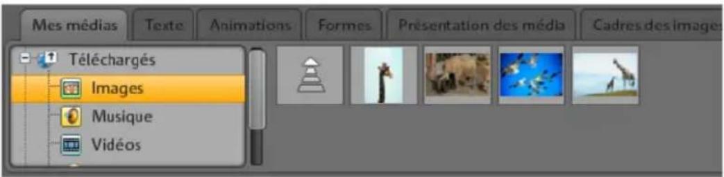 MAGIX Website Maker MX - Charger ses propres objets (photos, vidéos, musique) sur le site Web : - 1