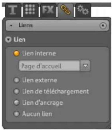 MAGIX Website Maker MX - Attribuer un lien à du texte - 1
