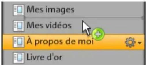 MAGIX Website Maker MX - Éditer des pages avec le gestionnaire de pages - 2