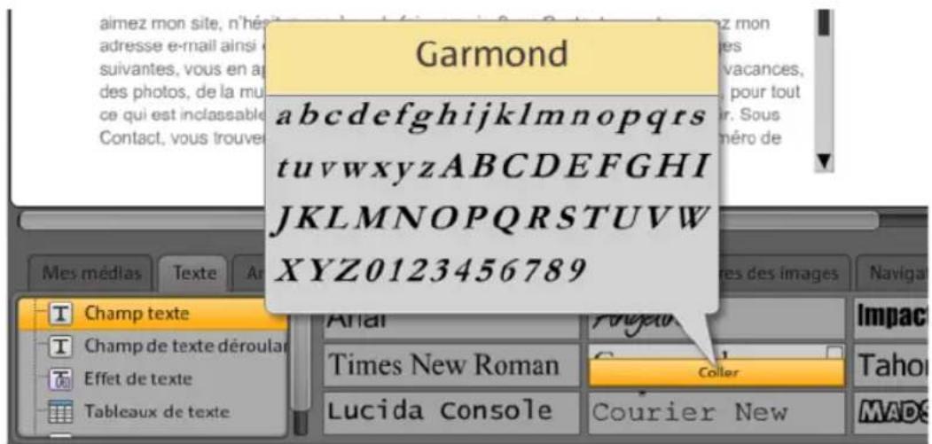 MAGIX Website Maker MX - Insérer du texte : - 1