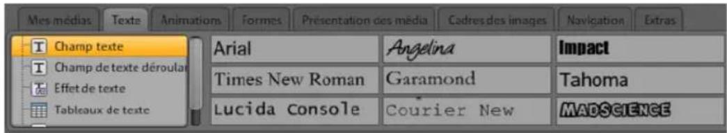 MAGIX Website Maker MX - Voilà comment créer de nouveaux objets texte : - 1