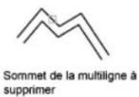 AUTODESK AutoCAD 2012 - Ajout ou suppression de sommets de multilignes - 1