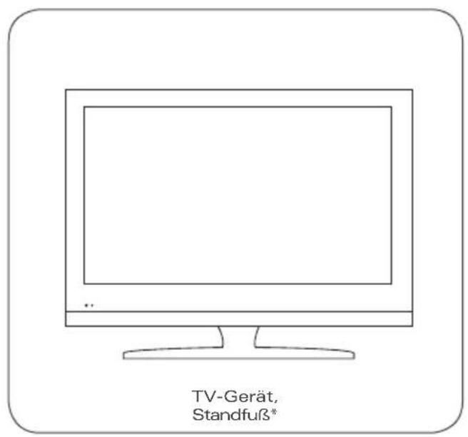 Caratec CAV242L - Lieferumfang - 1