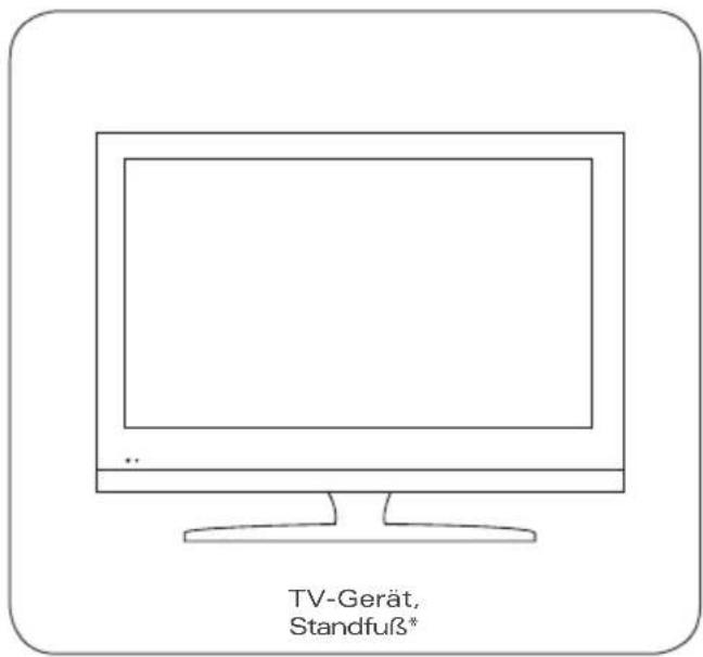 Caratec CAV222L - Lieferumfang - 1