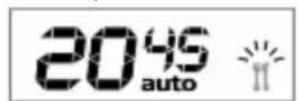 Wolf Power WGC6060CER - Adjusting the Cooking Time That You Desire - 1
