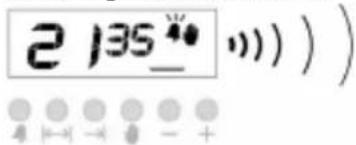 Wolf Power WGC6060CER - Cancelling The Buzzer Sound - 1