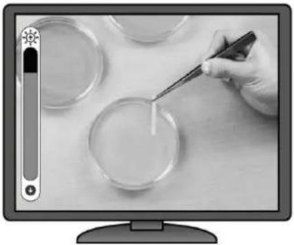 Elmo TTX1 - ■ AF (MISE AU POINT AUTOMATIQUE) - 10