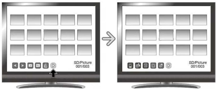 SD/Picture 001/003 SD/Picture 001/003