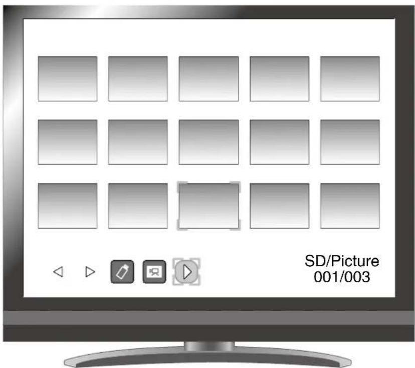 SD/Picture 001/003