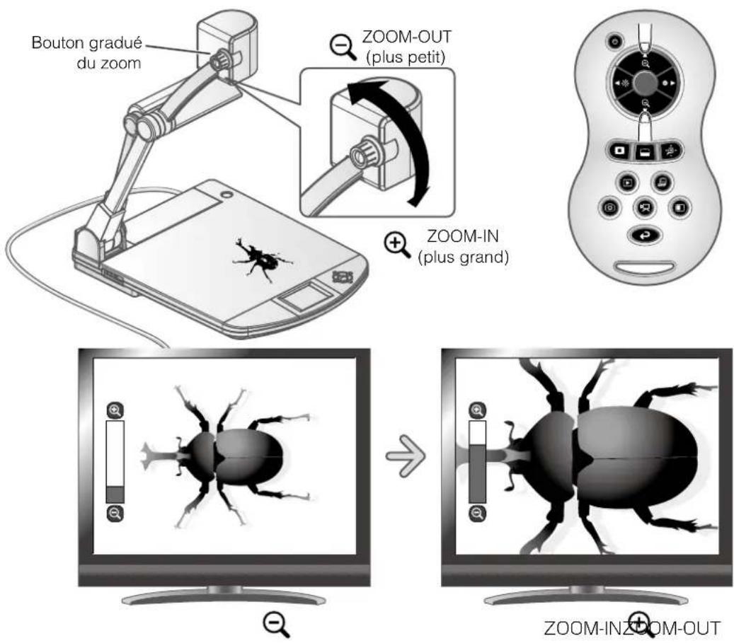 Elmo P30HD - Églage de la taille - 1