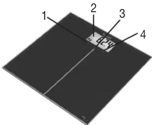 BEURER GS 280 BMI Genius - Panoramica - 2