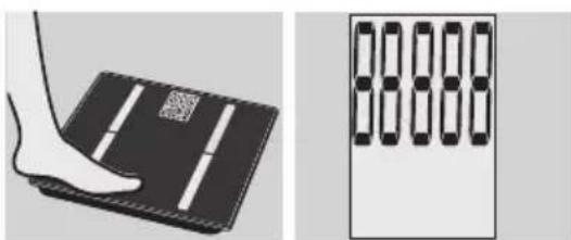 EXACTA GBF 9200 - Vucut analizi - 1