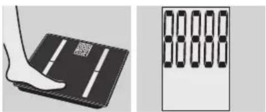 EXACTA GBF 9200 - Body monitoring - 1