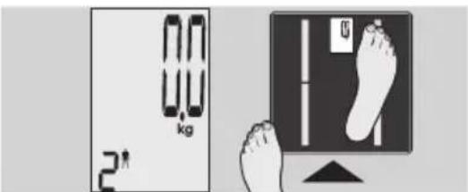 EXACTA GBF 9200 - Análisis corporal - 3