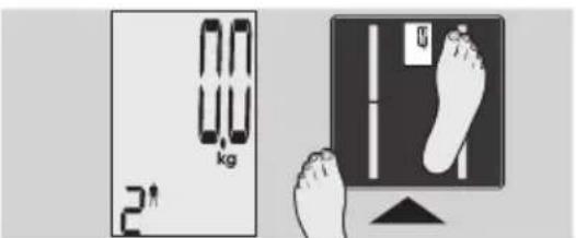 EXACTA GBF 9200 - Analiza ciasta - 4