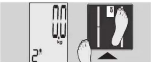 EXACTA GBF 9200 - Kehonanalyysi - 3