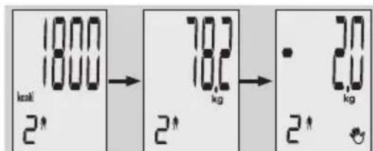 EXACTA GBF 9200 - Kroppsanalys - 6