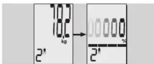 EXACTA GBF 9200 - Analisi del corpo - 4
