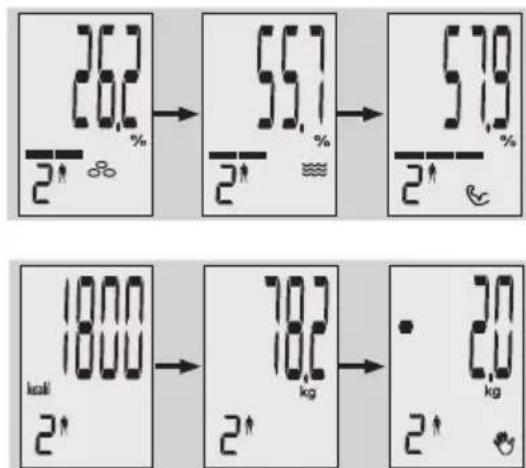 EXACTA GBF 9200 - Analýza tělesných vlastnosti - 5