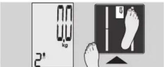 EXACTA GBF 9200 - Telesna analiza - 3