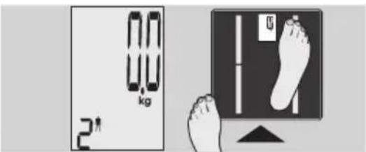 EXACTA GBF 9200 - Body monitoring - 3