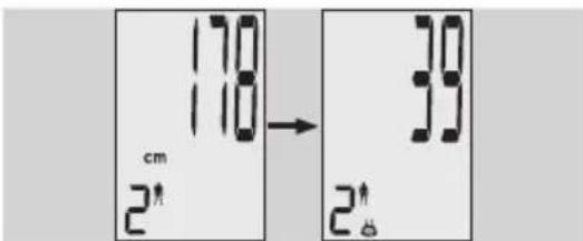 EXACTA GBF 9200 - Vucut analizi - 2