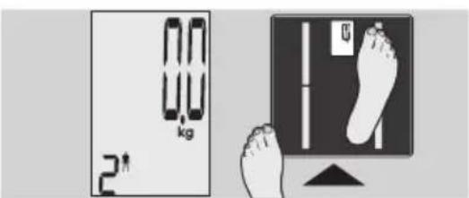 EXACTA GBF 9200 - Analise corporal - 3