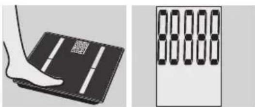 EXACTA GBF 9200 - Análisis corporal - 1