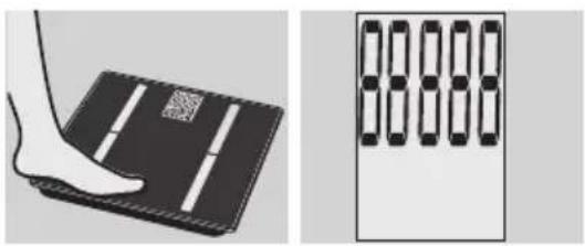 EXACTA GBF 9200 - Analise corporal - 1