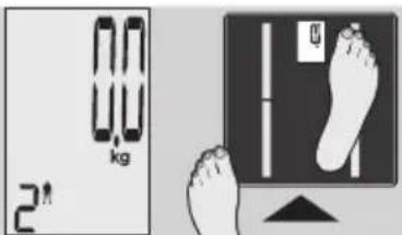 EXACTA GBF 9200 - OnpeJeHne HndekCa MaccbI TeJa - 4