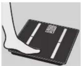 EXACTA GBF 9200 - OnpeJeHne HndekCa MaccbI TeJa - 1