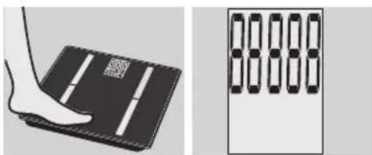 EXACTA GBF 9200 - Telesna analiza - 1