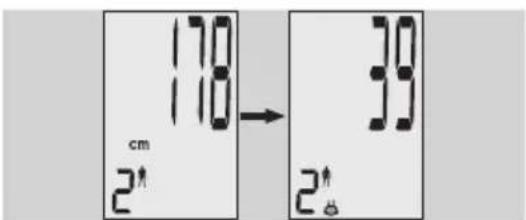 EXACTA GBF 9200 - Kehonanalyysi - 2