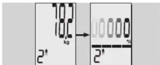 EXACTA GBF 9200 - Kehonanalyysi - 4