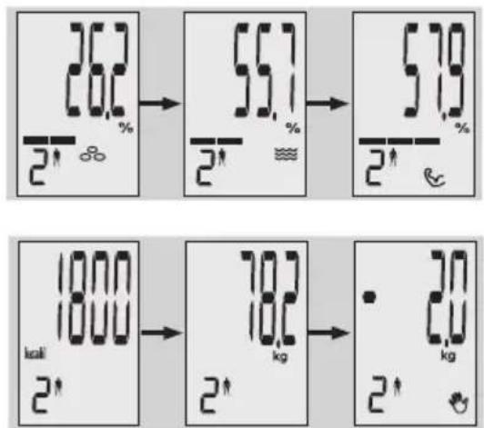EXACTA GBF 9200 - Telesna analiza - 5