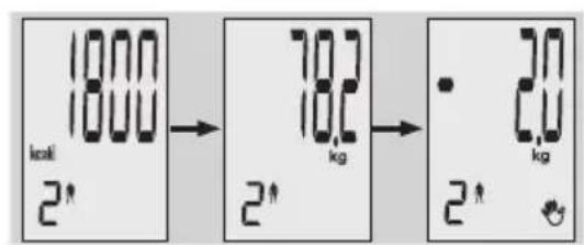 EXACTA GBF 9200 - Kropsanalyse - 5