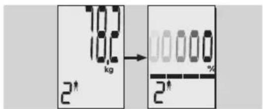 EXACTA GBF 9200 - Analiza ciasta - 5