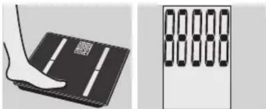 EXACTA GBF 9200 - Analisi del corpo - 1