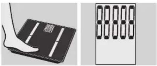 EXACTA GBF 9200 - Aitouetpnon - 1