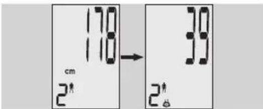 EXACTA GBF 9200 - Análisis corporal - 2